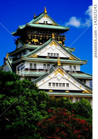 Osaka Castle Tower (Special Historic Site) Osaka Castle Tower (Special Historic Site) 142825243