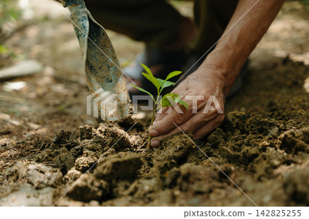 Closeup of a gardener planting a young green sapling into rich soil using a hand trowel, symbolizing growth, sustainability, 142825255