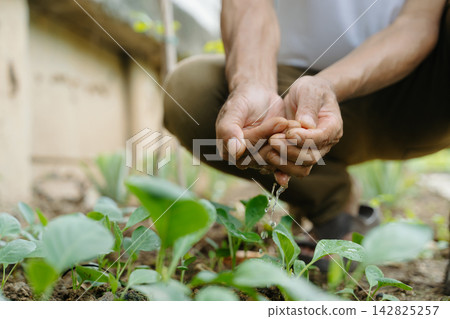 Closeup of human hands holding water and gently pouring it over a green plant, symbolizing care, growth, and environmental Closeup of human hands holding water and gently pouring it over a green plant, symbolizing care, growth, and environmental 142825257