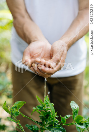 Closeup of human hands holding water and gently pouring it over a green plant, symbolizing care, growth, and environmental Closeup of human hands holding water and gently pouring it over a green plant, symbolizing care, growth, and environmental 142825259