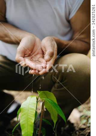 Closeup of human hands holding water and gently pouring it over a green plant, symbolizing care, growth, and environmental Closeup of human hands holding water and gently pouring it over a green plant, symbolizing care, growth, and environmental 142825261