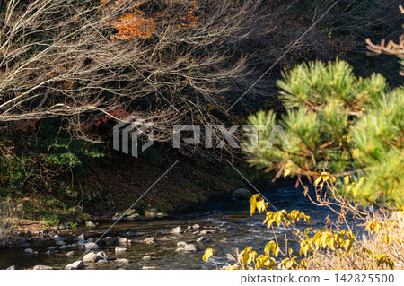 Kajishima, Morimachi, Shuchi District, Shizuoka Prefecture: Mountain village scenery Kajishima, Morimachi, Shuchi District, Shizuoka Prefecture: Mountain village scenery 142825500