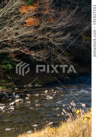 Kajishima, Morimachi, Shuchi District, Shizuoka Prefecture: Mountain village scenery Kajishima, Morimachi, Shuchi District, Shizuoka Prefecture: Mountain village scenery 142825501