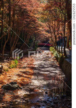 靜岡縣周知郡森町一宮市大國神社及周邊風景 靜岡縣周知郡森町一宮市大國神社及周邊風景 142825553