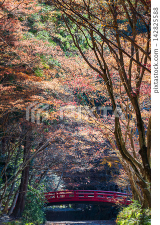 Ichinomiya, Mori-machi, Shuchi-gun, Shizuoka Prefecture Okuni Shrine and the surrounding scenery Ichinomiya, Mori-machi, Shuchi-gun, Shizuoka Prefecture Okuni Shrine and the surrounding scenery 142825588