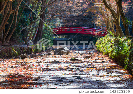 Ichinomiya, Mori-machi, Shuchi-gun, Shizuoka Prefecture Okuni Shrine and the surrounding scenery 142825599