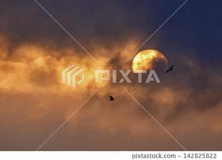 The fantastical dawn sun 142825822