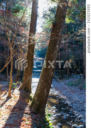 Ichinomiya, Mori-machi, Shuchi-gun, Shizuoka Prefecture Okuni Shrine and the surrounding scenery Ichinomiya, Mori-machi, Shuchi-gun, Shizuoka Prefecture Okuni Shrine and the surrounding scenery 142825893