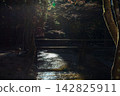 Ichinomiya, Mori-machi, Shuchi-gun, Shizuoka Prefecture Okuni Shrine and the surrounding scenery Ichinomiya, Mori-machi, Shuchi-gun, Shizuoka Prefecture Okuni Shrine and the surrounding scenery 142825911