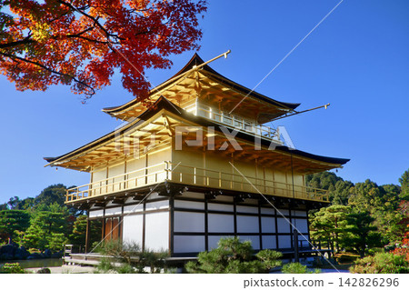 Kinkaku-ji Temple in autumn, viewed from the north (Kita Ward, Kyoto) Kinkaku-ji Temple in autumn, viewed from the north (Kita Ward, Kyoto) 142826296