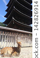Deer relaxing in Nara Park 142826914