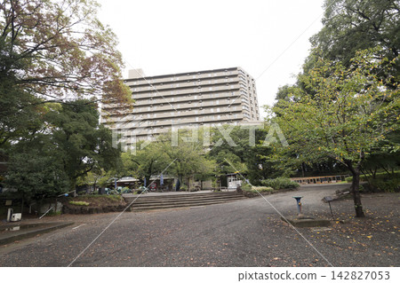 Autumn at Rakujuen Garden in Mishima City Autumn at Rakujuen Garden in Mishima City 142827053