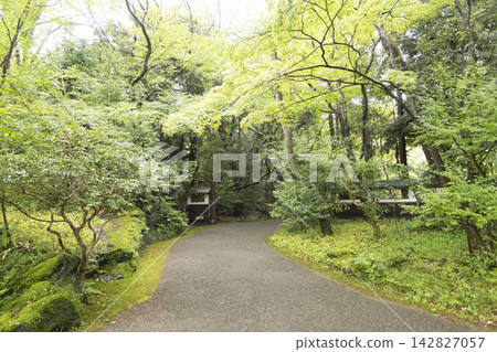 Autumn at Rakujuen Garden in Mishima City Autumn at Rakujuen Garden in Mishima City 142827057