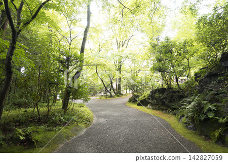 Autumn at Rakujuen Garden in Mishima City Autumn at Rakujuen Garden in Mishima City 142827059