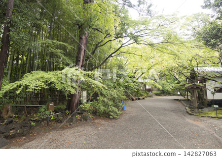 三島市樂壽園的秋景 三島市樂壽園的秋景 142827063