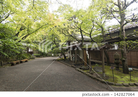 Autumn at Rakujuen Garden in Mishima City 142827064