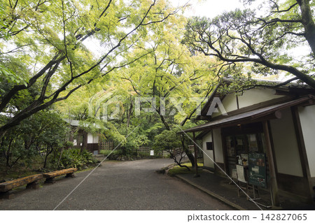 三島市樂壽園的秋景 三島市樂壽園的秋景 142827065