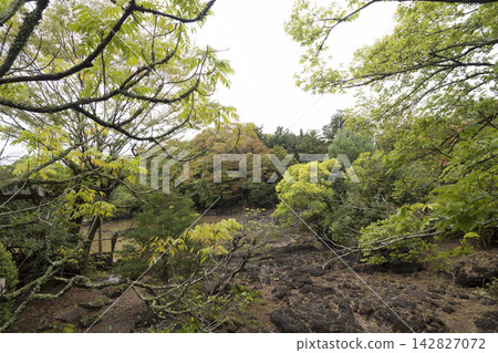Autumn at Rakujuen Garden in Mishima City 142827072