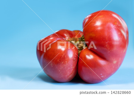 Unusual, naturally misshapen red tomato with several fused lobes forming irregular, asymmetrical shape. Ripe tomato on bright blue background. Natural imperfections and diversity agricultural produce Unusual, naturally misshapen red tomato with several fused lobes forming irregular, asymmetrical shape. Ripe tomato on bright blue background. Natural imperfections and diversity agricultural produce 142828660