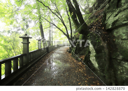 朝聖路線上的第十二座寺廟,丸山聖珠院聖山寺,雨後綠意盎然,景色宜人。 朝聖路線上的第十二座寺廟,丸山聖珠院聖山寺,雨後綠意盎然,景色宜人。 142828870