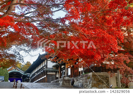 Autumn foliage at Konkai-Komyoji Temple, Seiwaden Hall (Sakyo Ward, Kyoto) Autumn foliage at Konkai-Komyoji Temple, Seiwaden Hall (Sakyo Ward, Kyoto) 142829056