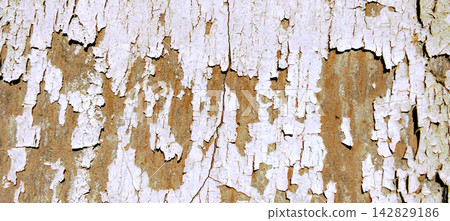 Weathered White Paint and Rust Texture Background Weathered White Paint and Rust Texture Background 142829186