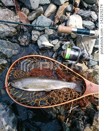 Stream fishing catch: char and lure fishing tackle 142829274