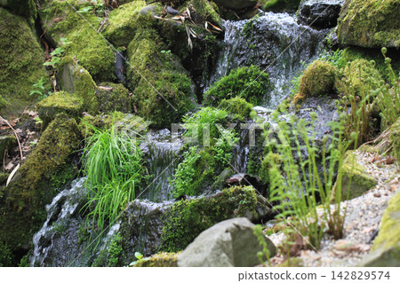 small outdoor waterfall small outdoor waterfall 142829574