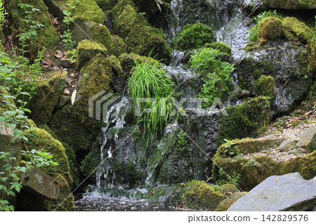 small outdoor waterfall small outdoor waterfall 142829576