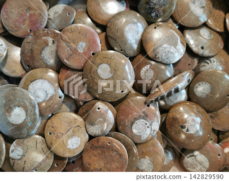 ammonite fossil texture ammonite fossil texture 142829590
