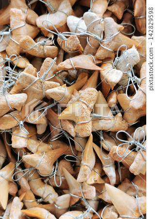 shark teeth collection texture 142829598