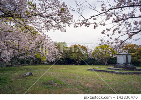 Spring scenery at the main keep of Hamada Castle in Shimane Prefecture Spring scenery at the main keep of Hamada Castle in Shimane Prefecture 142830470