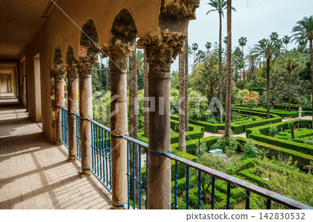 Elevated Mudejar gallery overlooking the garden maze at the Real Alcazar of Seville Elevated Mudejar gallery overlooking the garden maze at the Real Alcazar of Seville 142830532