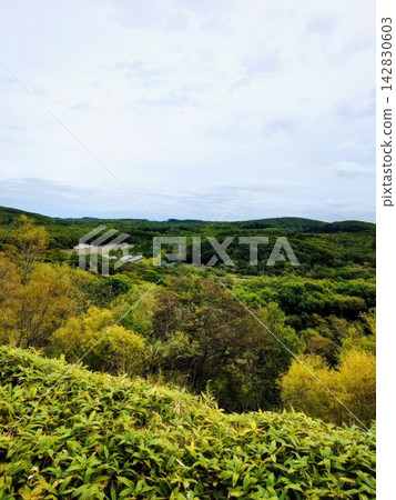 釧路濕地附近正在建造一座大型太陽能發電廠,這裡是自然保護區和開發區的交界。 釧路濕地附近正在建造一座大型太陽能發電廠,這裡是自然保護區和開發區的交界。 142830603