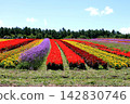 Hill scene with colorful flowers blooming against the blue sky Hill scene with colorful flowers blooming against the blue sky 142830746