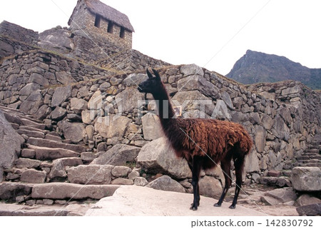 Peru Machu Picchu ruins Peru Machu Picchu ruins 142830792