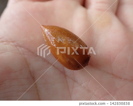 卡亞水果 卡亞水果 142830838