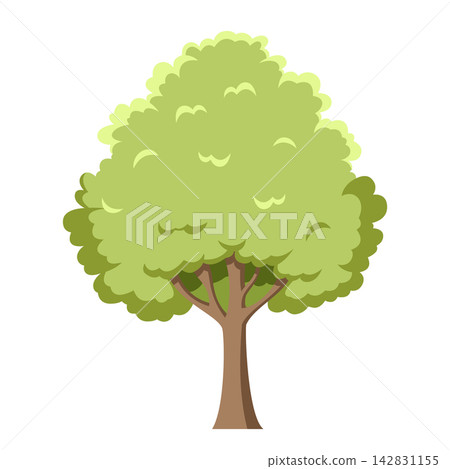 Vector illustration of an oak tree in cartoon style isolated on white background Vector illustration of an oak tree in cartoon style isolated on white background 142831155