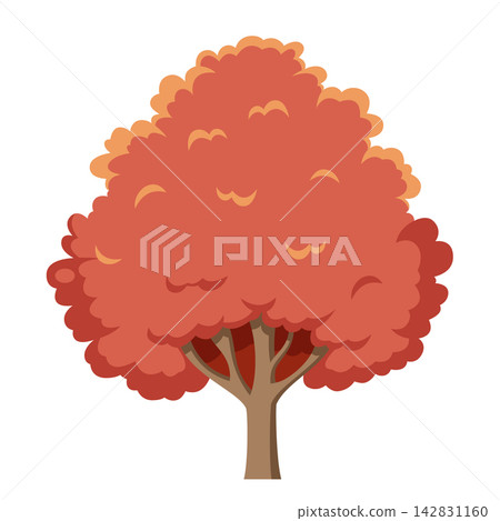 Vector illustration of a red oak tree in cartoon style isolated on white background Vector illustration of a red oak tree in cartoon style isolated on white background 142831160