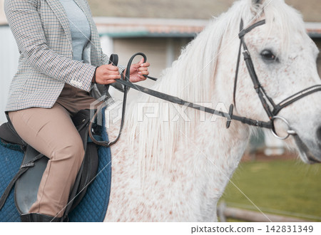 Equestrian, horse and person closeup in saddle training for sport or adventure in countryside. Woman, ride and travel with animal on ranch as jockey, athlete or healthy pony for polo outdoor 142831349