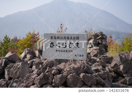 從有村熔岩展望台可以俯瞰櫻島和熔岩地帶。 從有村熔岩展望台可以俯瞰櫻島和熔岩地帶。 142831676