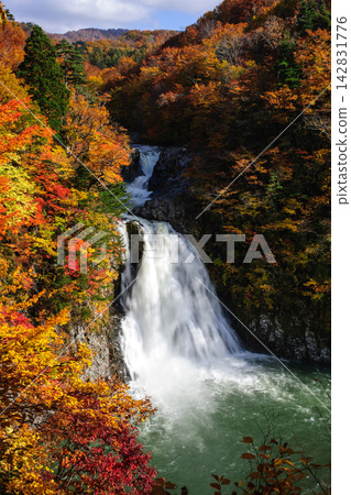 Hōtai Falls, a magnificent autumn waterfall, Akita Prefecture Hōtai Falls, a magnificent autumn waterfall, Akita Prefecture 142831776