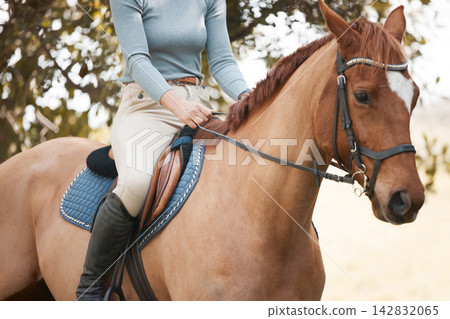 Woman, nature and horse for equestrian sport on ranch, stallion and riding hobby in agriculture. Competition, training and female rider, horsemanship and outdoor trees or holiday in Argentina Woman, nature and horse for equestrian sport on ranch, stallion and riding hobby in agriculture. Competition, training and female rider, horsemanship and outdoor trees or holiday in Argentina 142832065