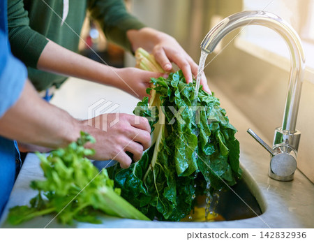 Spinach, washing and hands in kitchen, water and cleaning of vegetable, closeup and tap for hygiene. Home, people and help with meal prep, green and healthy food for nutrition, diet and couple Spinach, washing and hands in kitchen, water and cleaning of vegetable, closeup and tap for hygiene. Home, people and help with meal prep, green and healthy food for nutrition, diet and couple 142832936