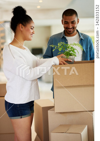 Excited, couple and packing with cardboard box, plant and moving in home for new house or apartment. Happy, female person and man on real estate with packaging for relocating for shipping on property Excited, couple and packing with cardboard box, plant and moving in home for new house or apartment. Happy, female person and man on real estate with packaging for relocating for shipping on property 142833152