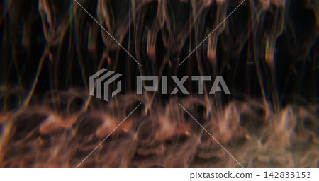 Defocused mist smoke. Art fume paint. Orange pink acrylic orange color haze rainbow pigment texture spreading on abstract dark black background. Defocused mist smoke. Art fume paint. Orange pink acrylic orange color haze rainbow pigment texture spreading on abstract dark black background. 142833153