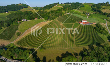 Carinthia Vineyards Green Hills Aerial View Austria 142833666