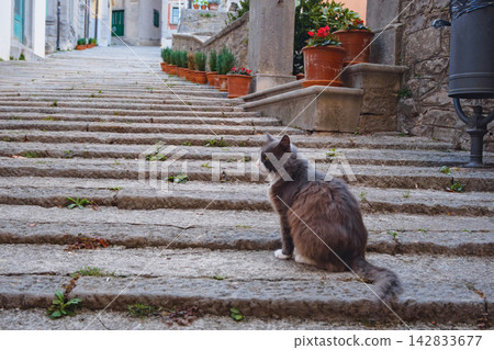 Old Town Labin Historic Streets Croatia Old Town Labin Historic Streets Croatia 142833677