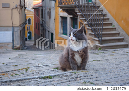 Old Town Labin Historic Streets Croatia Old Town Labin Historic Streets Croatia 142833679