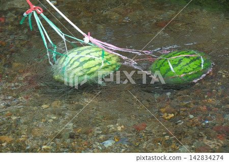 一張西瓜在河裡降溫的圖片。 一張西瓜在河裡降溫的圖片。 142834274